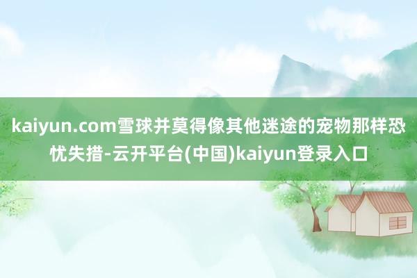 kaiyun.com雪球并莫得像其他迷途的宠物那样恐忧失措-云开平台(中国)kaiyun登录入口