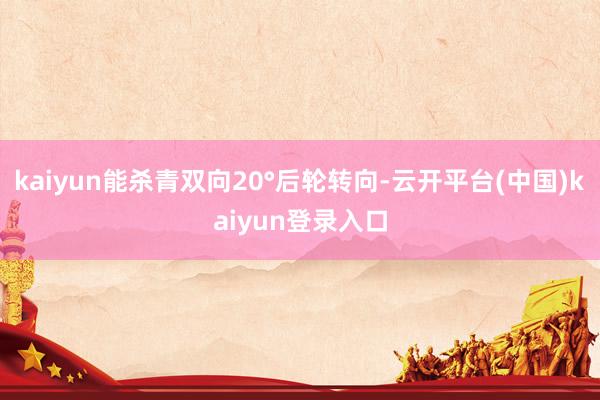 kaiyun能杀青双向20°后轮转向-云开平台(中国)kaiyun登录入口