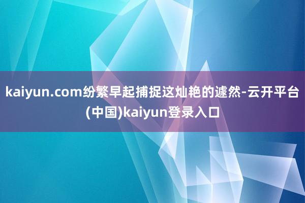 kaiyun.com纷繁早起捕捉这灿艳的遽然-云开平台(中国)kaiyun登录入口